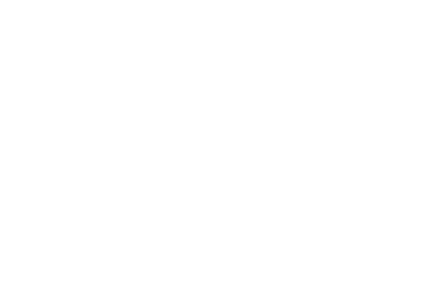 HDI Group